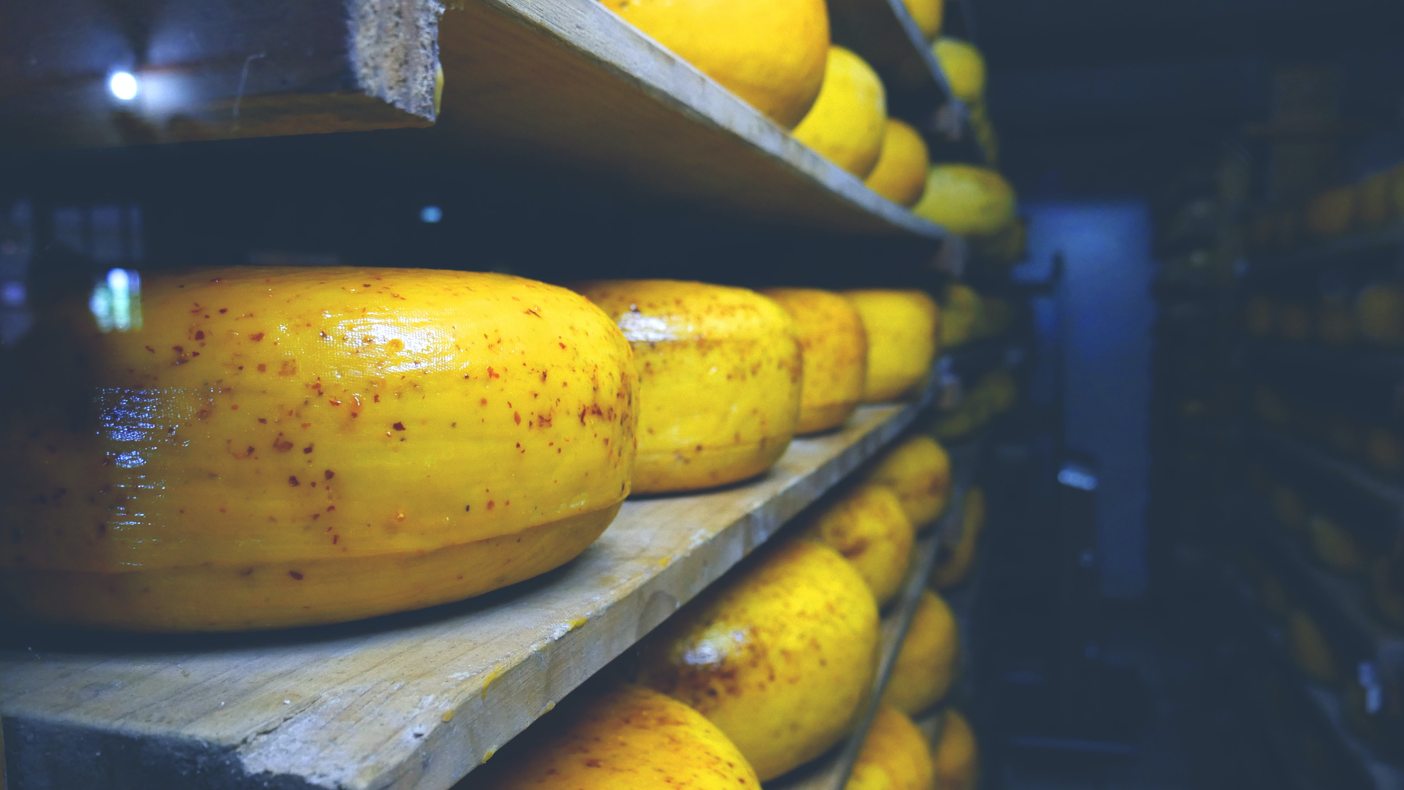 TRANSDAIRY